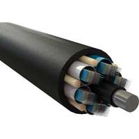 Enbeam OS2 Singlemode G652D Ribbon Fibre Cable Multi Loose Tube 864 Core 9/125 HDPE Fca Black
