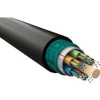 Excel Enbeam OS2 Singlemode CST Armoured Fibre Optic Cable Loose Tube 24 Core 9/125 HDPE Fca Black