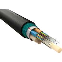 Excel Enbeam OS2 Singlemode CST Armoured Fibre Optic Cable Loose Tube 48 Core 9/125 HDPE Fca Black