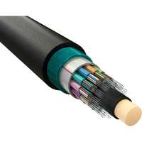 Excel Enbeam OS2 Singlemode CST Armoured Fibre Optic Cable Loose Tube 144 Core 9/125 HDPE Fca Black