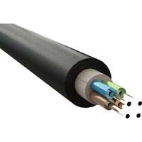 Enbeam OS2 Singlemode G.657.A2 Round FTTx Drop Cable Loose Tube 2 Core 9/125 HDPE Fca Black