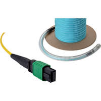 Enbeam OM4 12 Core MTP Trunk Cable - 25m