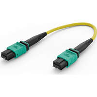 Elevate Base8 OS2 8 Fibre MPO Male Trunk Cable Method B B2ca 80 m