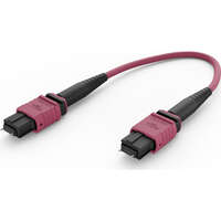 Elevate Base24 OM4 48 Fibre MPO Male Trunk Cable Method B B2ca 50 m