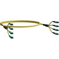 Elevate Base24 OS2 96 Fibre MPO Female to MPO Male Method B B2ca 100 m