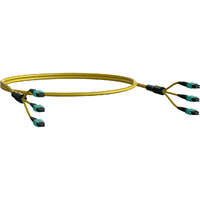 Elevate Base24 OS2 72 Fibre MPO Female to MPO Male Method B B2ca 100 m