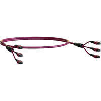 Elevate Base24 OM4 72 Fibre MPO Female to MPO Male Method B B2ca 110 m