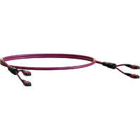 Elevate Base24 OM4 48 Fibre MPO Female to MPO Male Method B B2ca 110 m