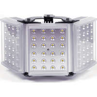 RAYLUX 300 Adaptive Illumination, 50-180 degrees, includes PSU with control features, white-light